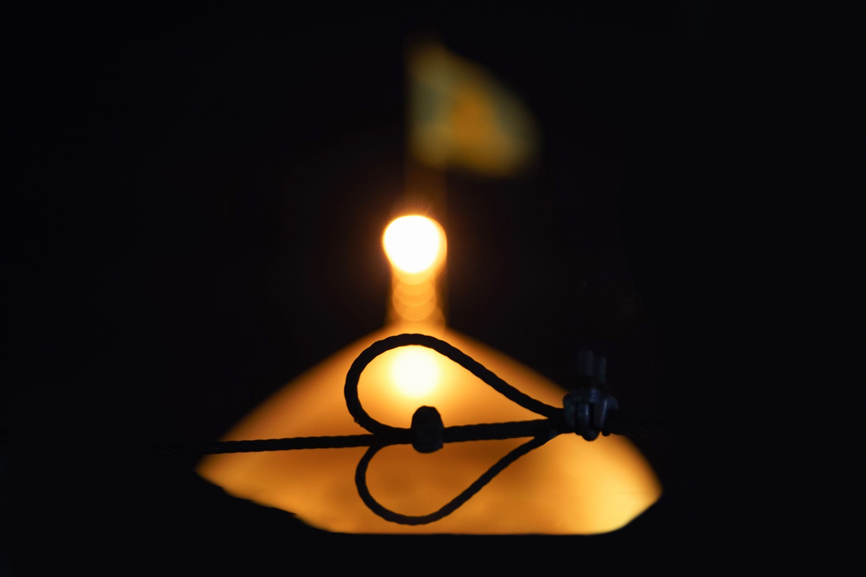 دلداده امام رضا 