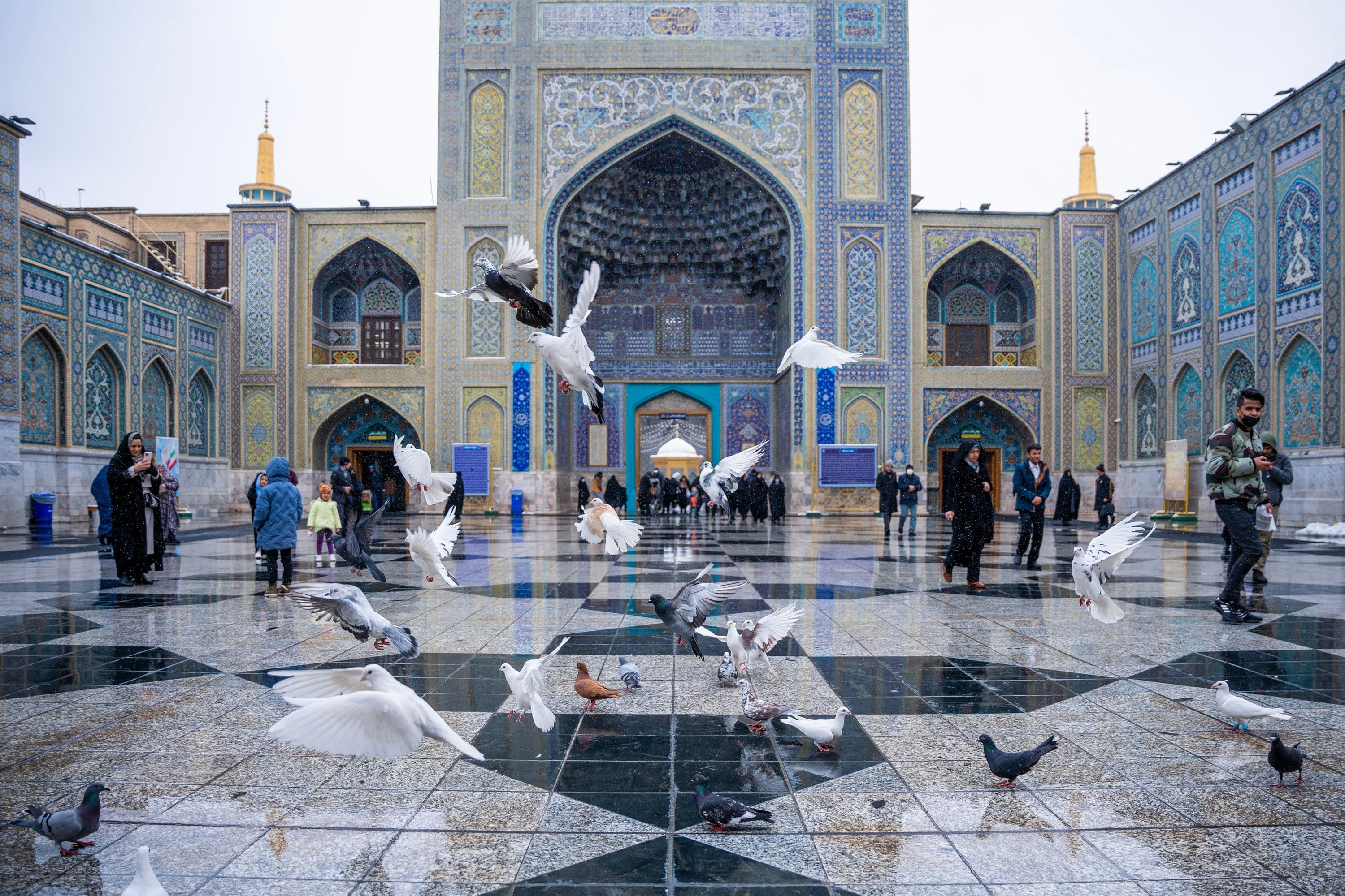 حمامة الحرم