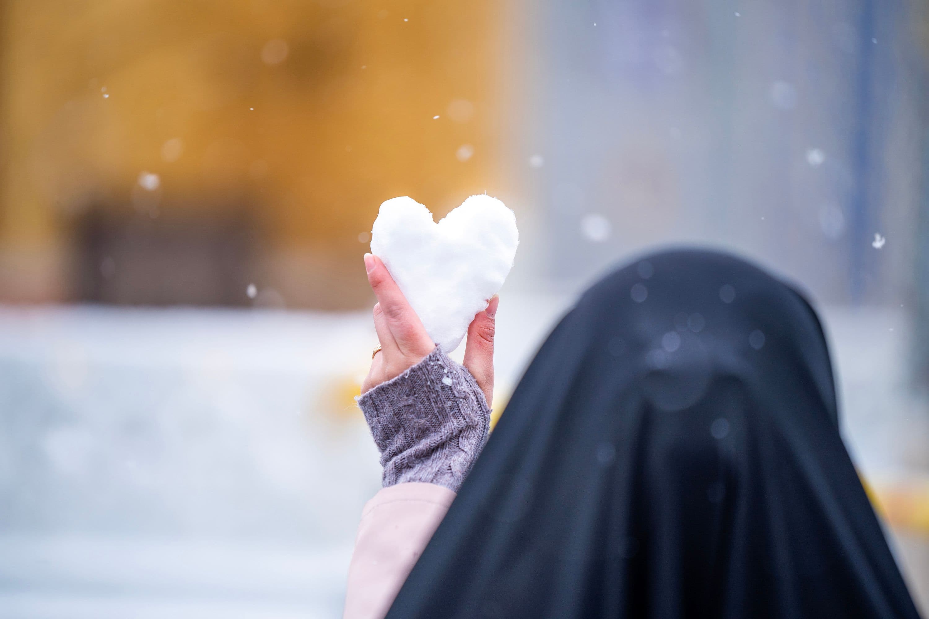 الحرم الرضوي