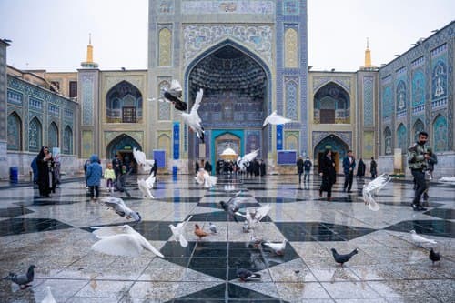 حمامة الحرم