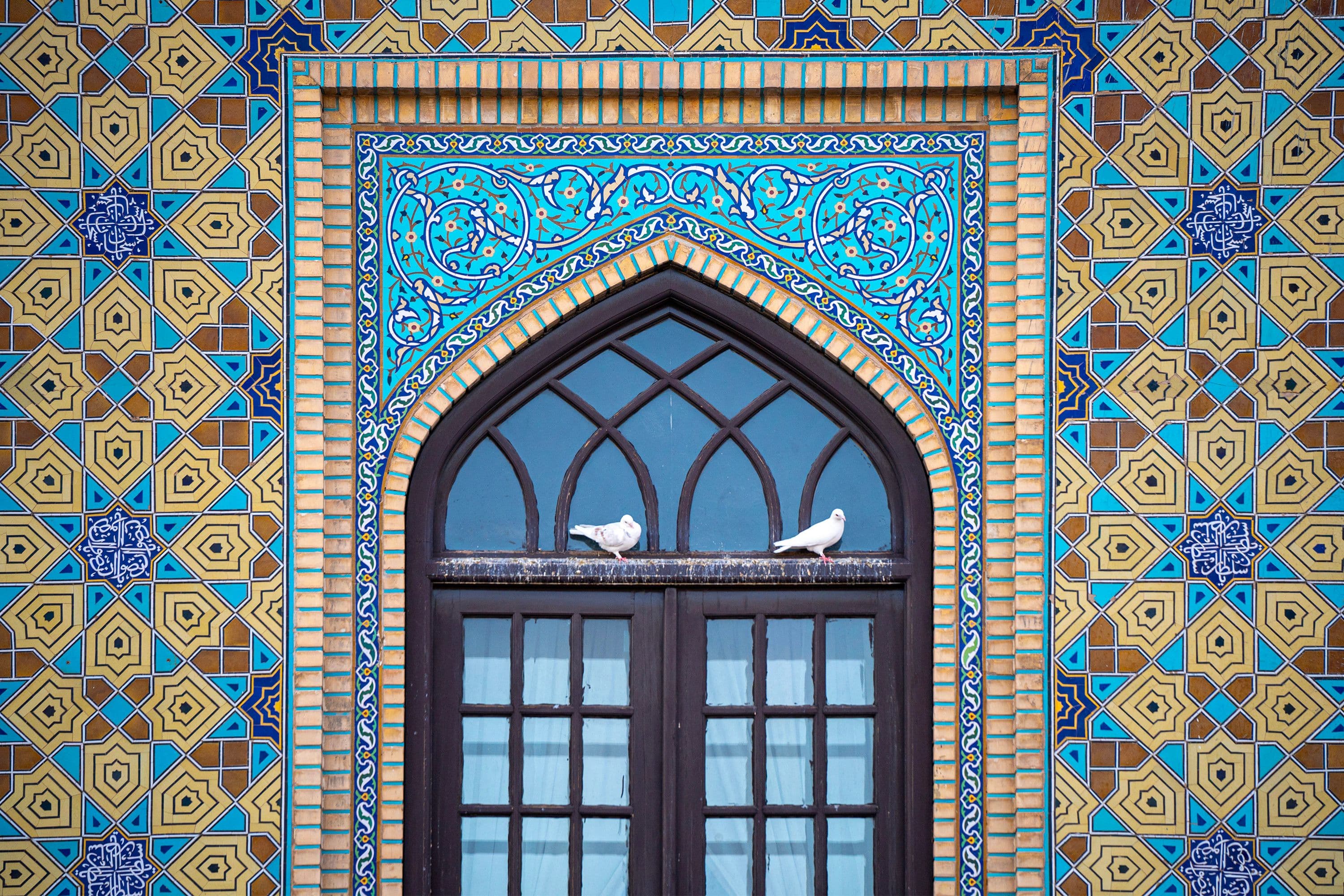 کبوتران حرم