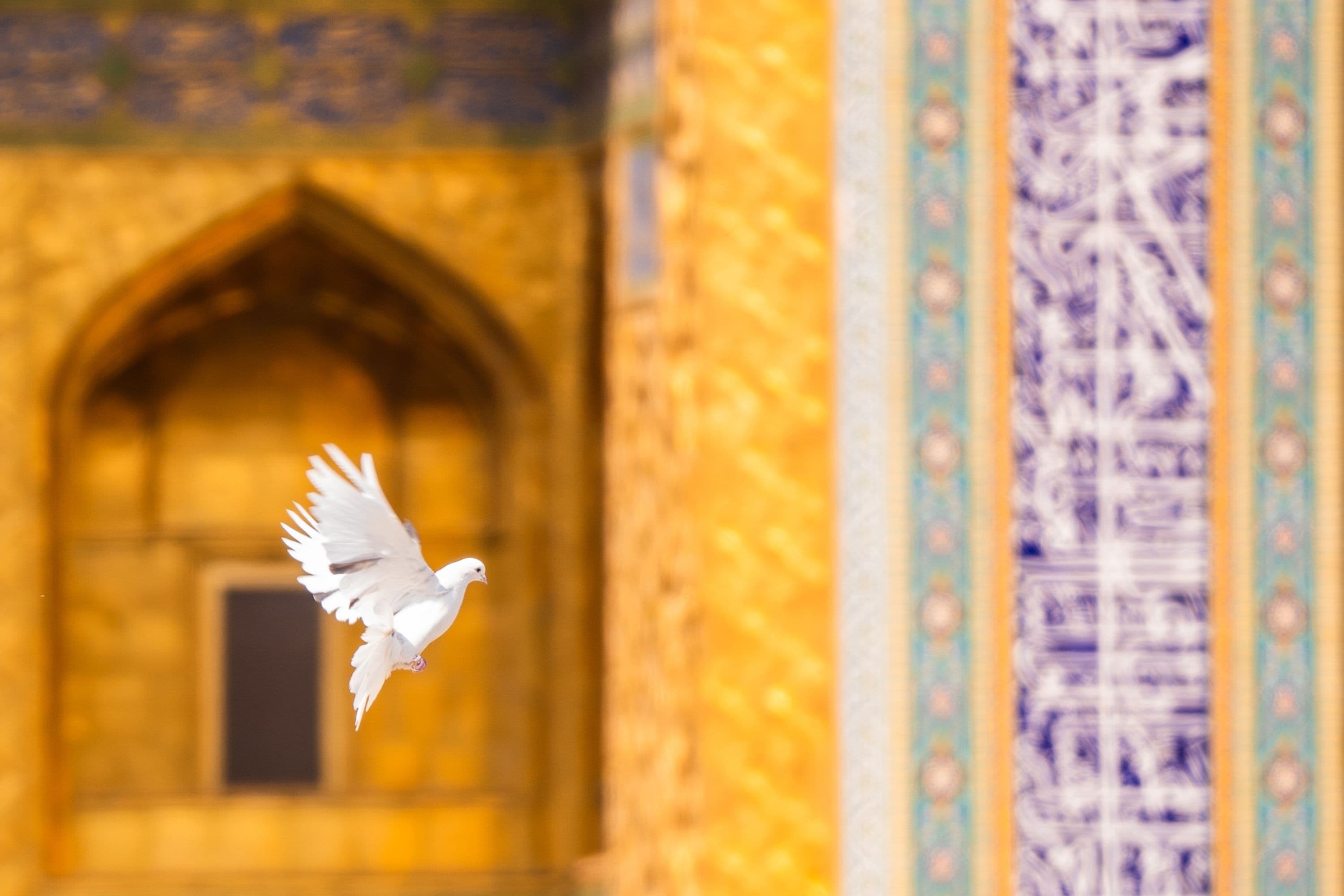 پیام آور حرم...