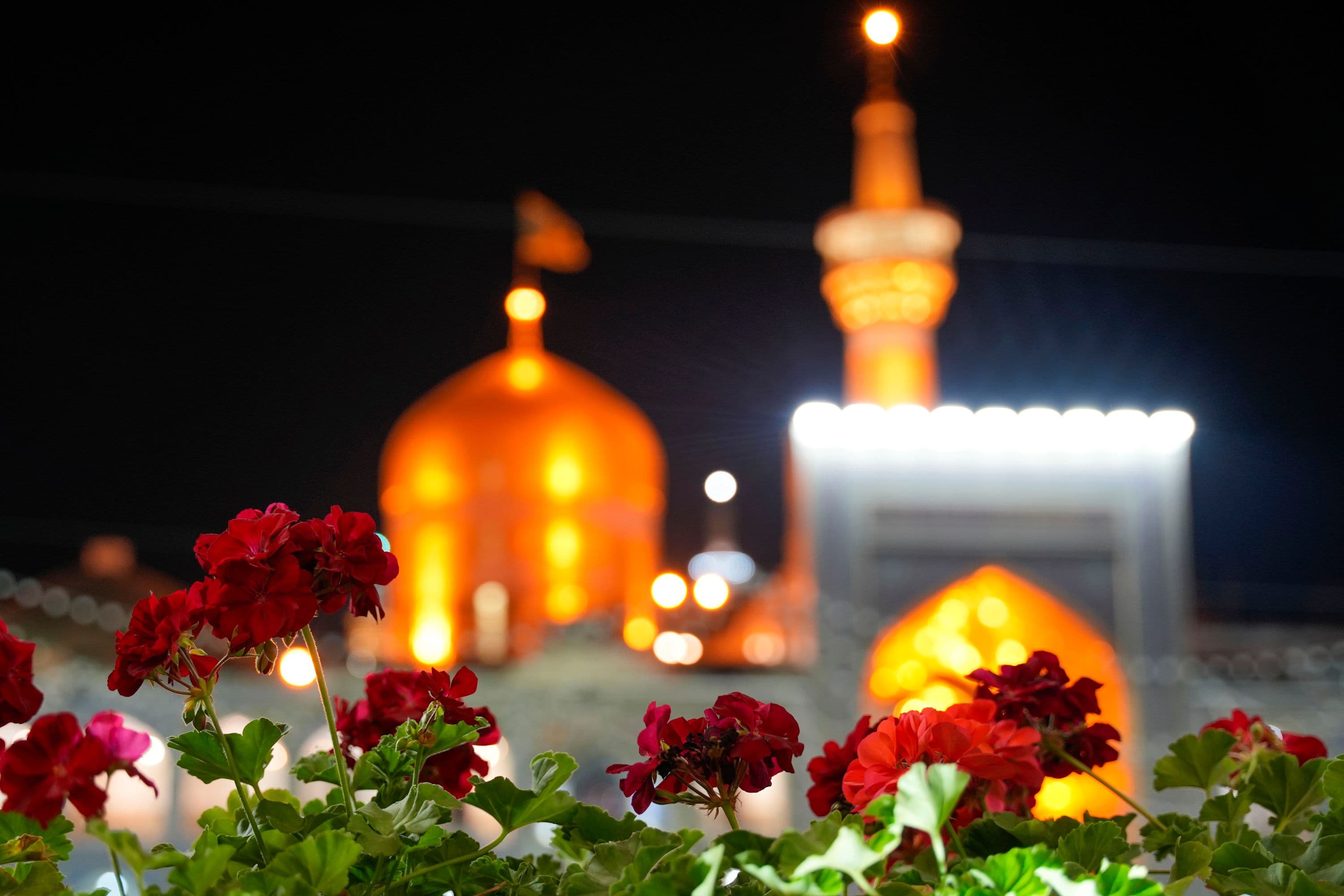 گل‌ها به تماشای حرم