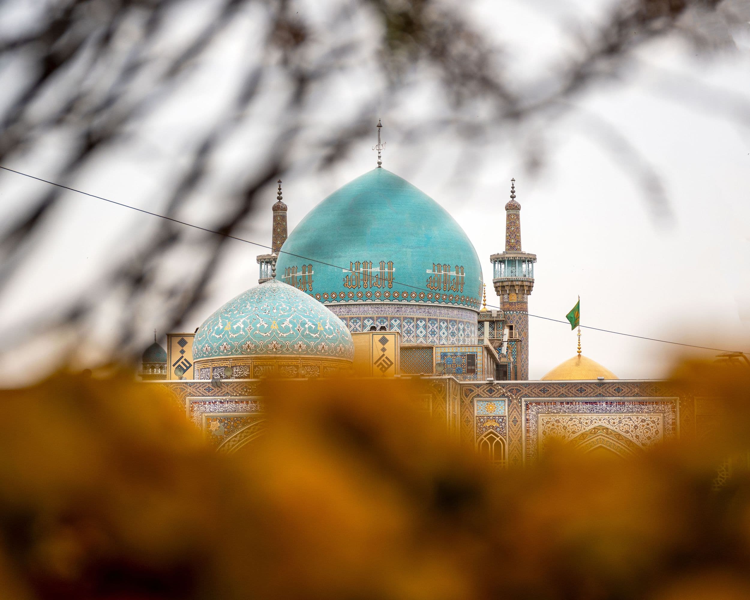 معماری و طبیعت