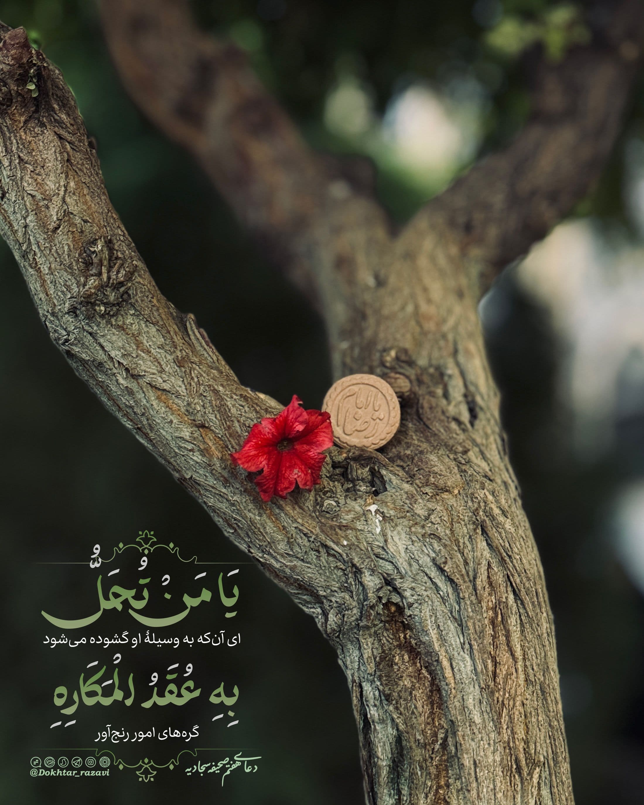 فرازی از صحیفه سجادیه