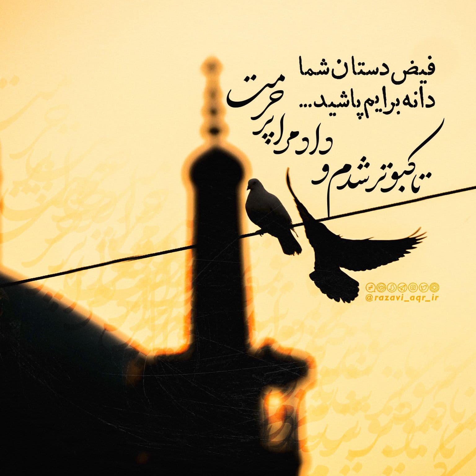 دانه ای از کرم، پرواز تا حرم...