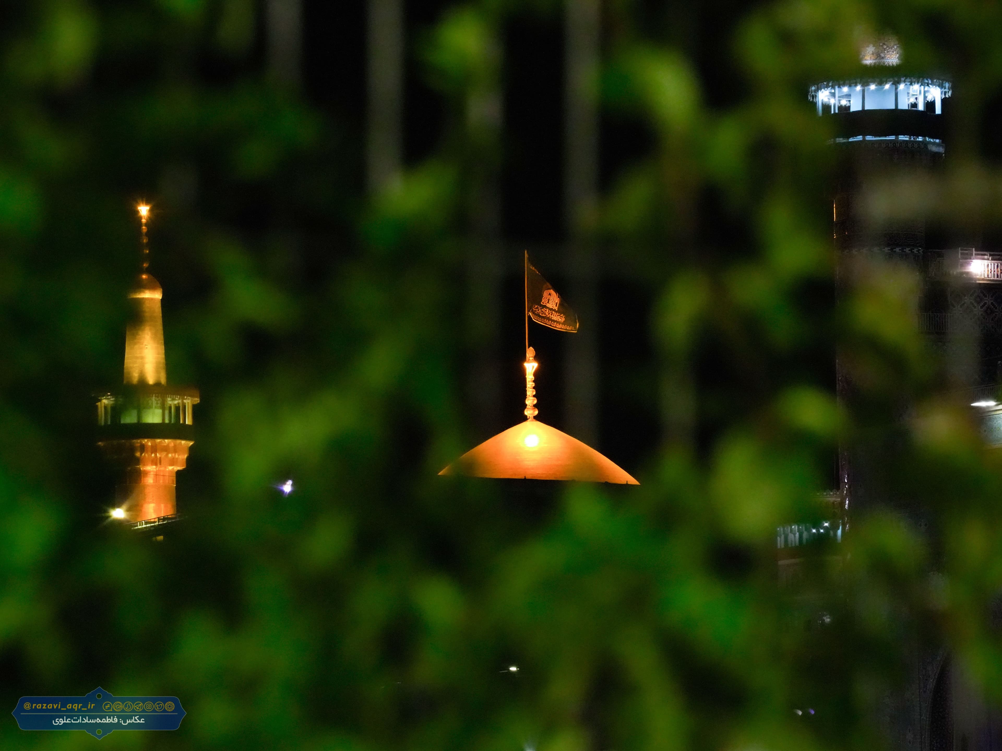 جای جای این حرم 