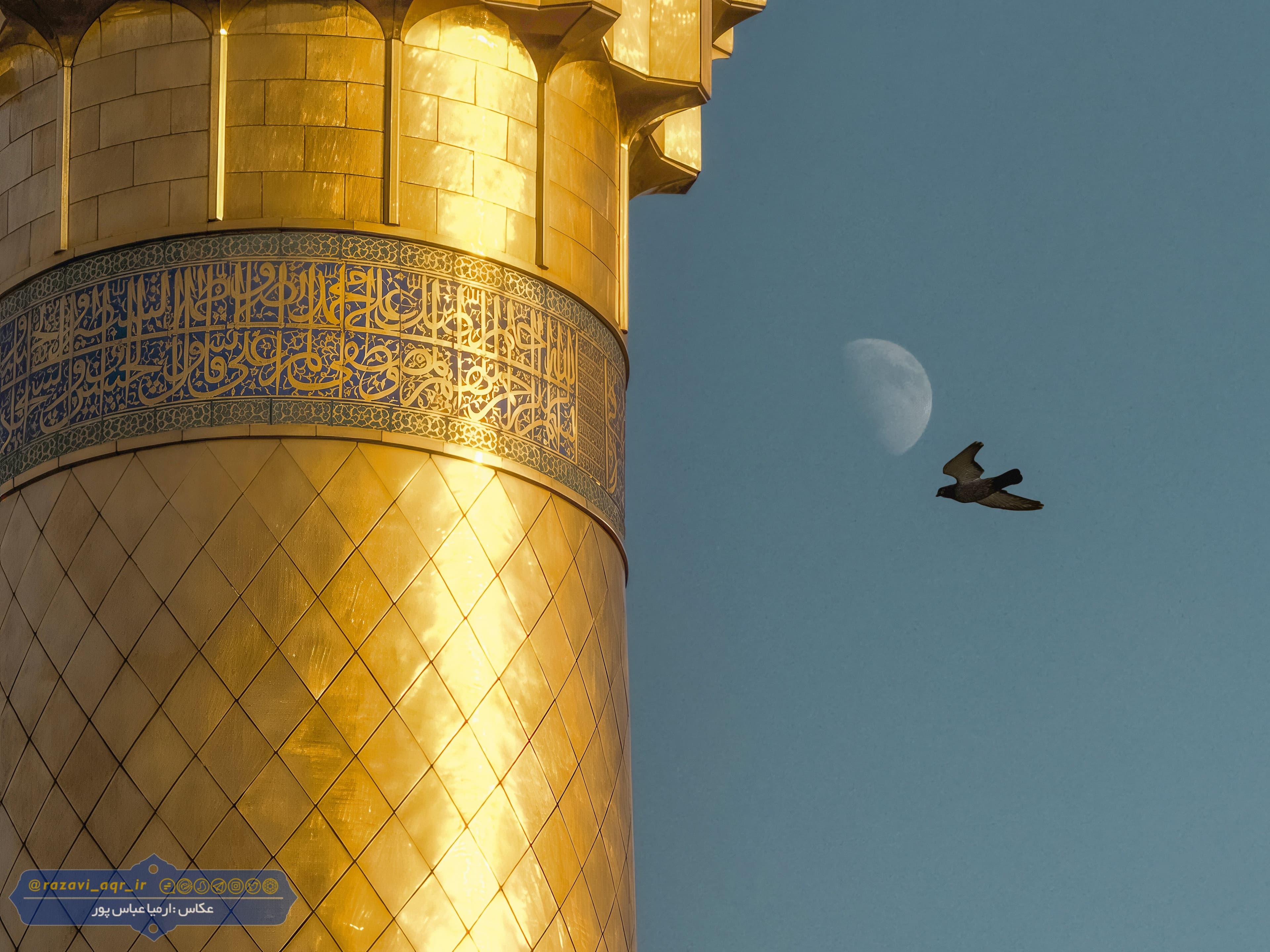 پرواز در کنار حریم رضوی