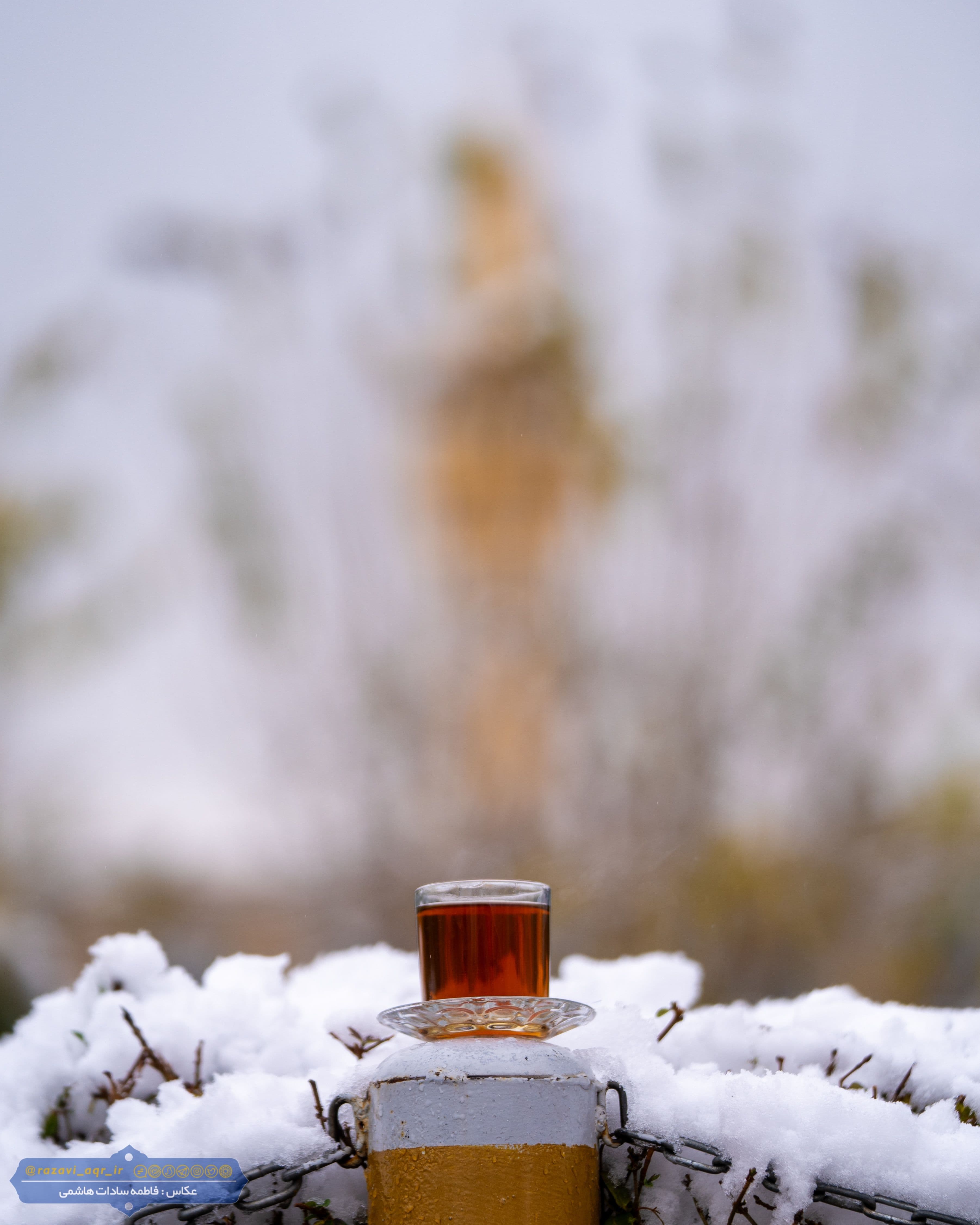 چایی یا یخ در بهشت