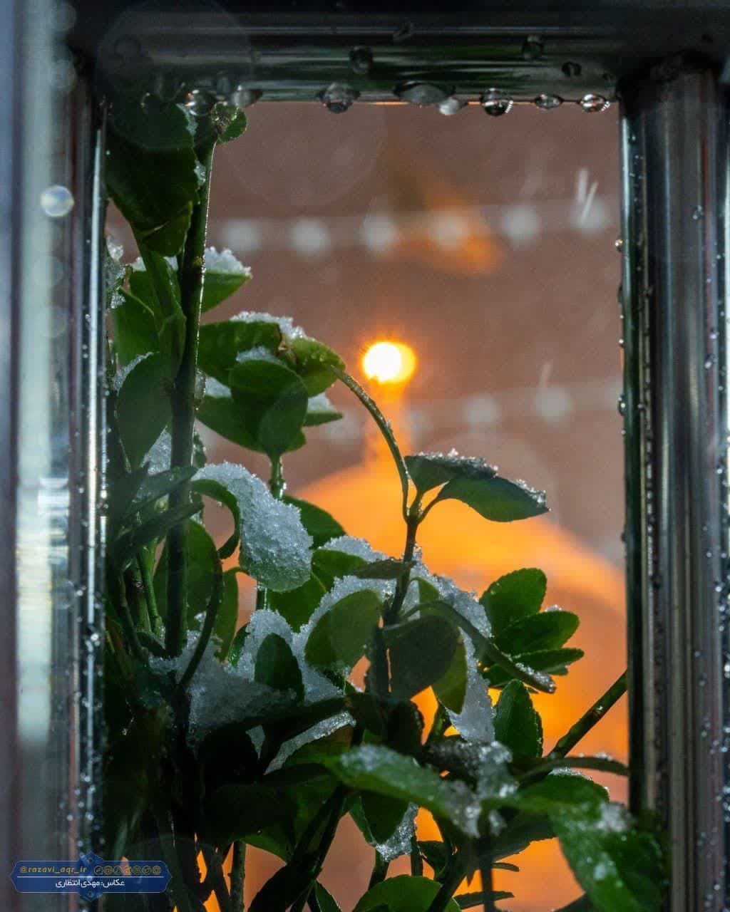 گوشه‌ای از حرمت