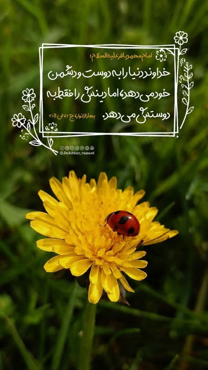 حدیث | امام محمد باقر (ع) 