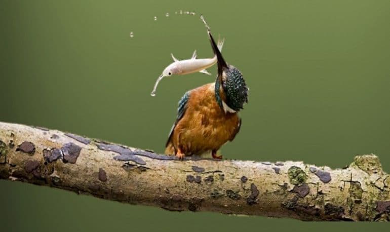 خداوند، روزی رسان مطلق