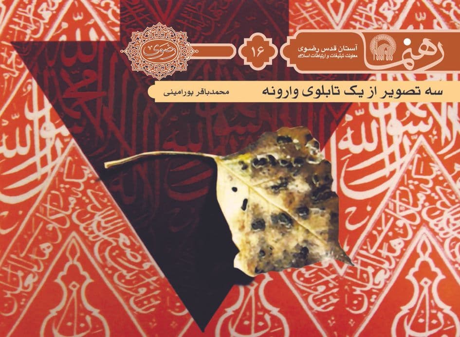 رهنما 16 | سه تصوير از يک تصوير وارونه 