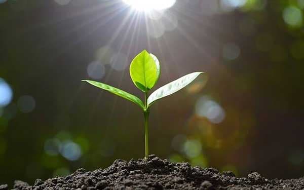 امام حسین ، الگوی سخاوت و بخشش