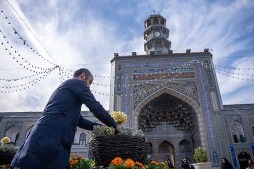 مجموعه عکس | گل آرایی حرم رضوی