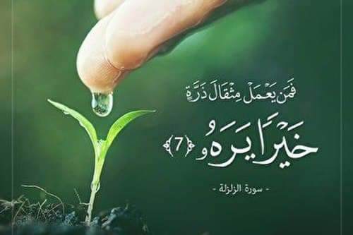 کلیپ | تاثیر پیرمرد عرب از سوره زلزال