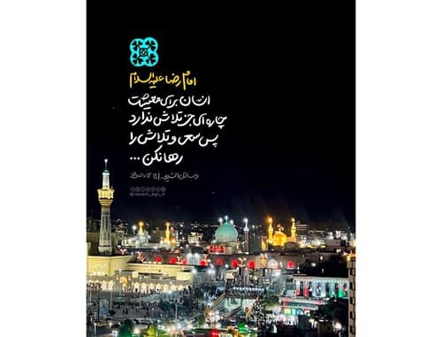 سبک زندگی رضوی | سعی و تلاش