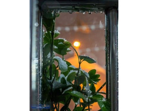 گوشه‌ای از حرمت