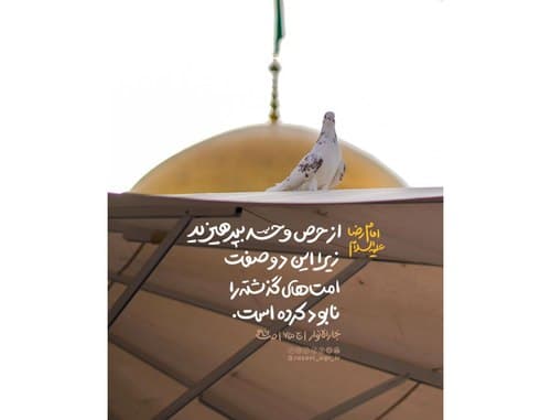 سبک زندگی رضوی | حرص و حسد