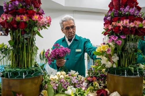 گل های بهشتی