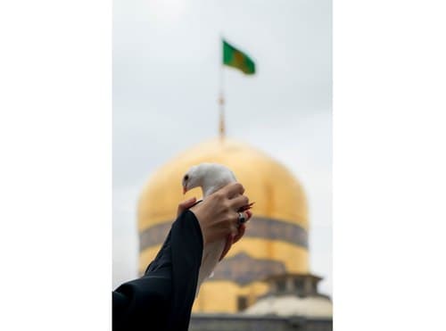 کبوتران حرم