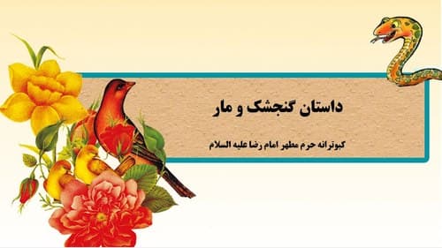 داستان | گنجشک و مار