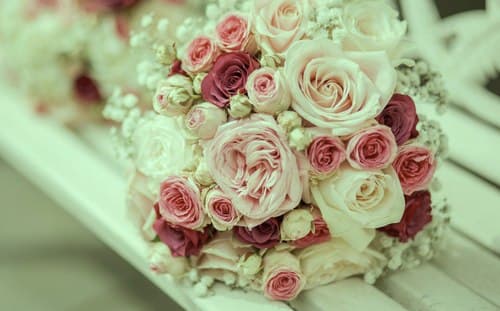 توصیه های امام رضا برای خواستگاری