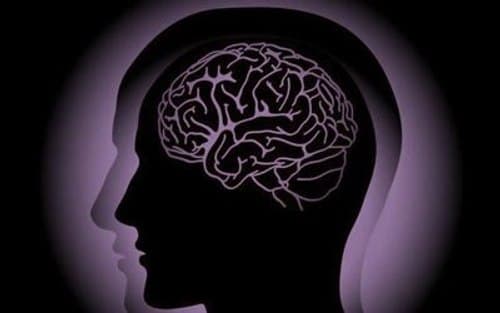 جایگاه عقل در کلام رضوی