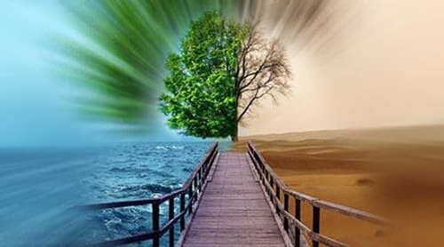 اسباب سعادت و شقاوت