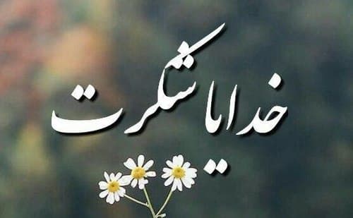 سفاهت و نا سپاسی