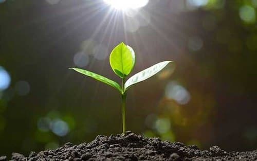 امام حسین ، الگوی سخاوت و بخشش