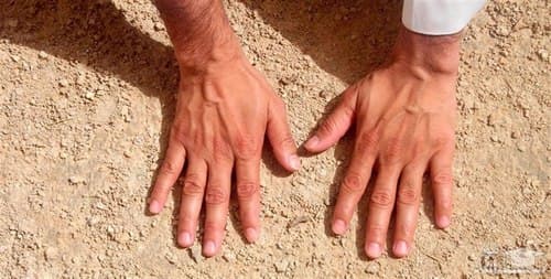 تیمم بر چه چیزهایی صحیح است؟