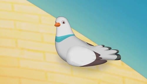 شعر کودک | دلم کبوتره ...