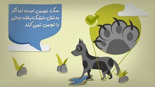 نماز خواندن در خانه ای که سگ نگه‌داشته می‌شود