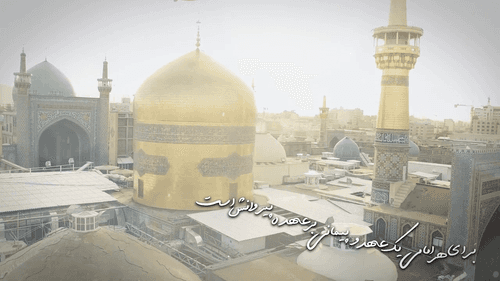 چرا به زیارت برویم؟