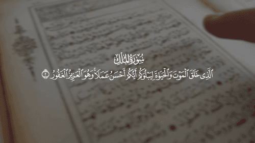 کیفیت عمل مهم است