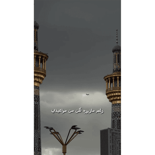 رغم ما زوره