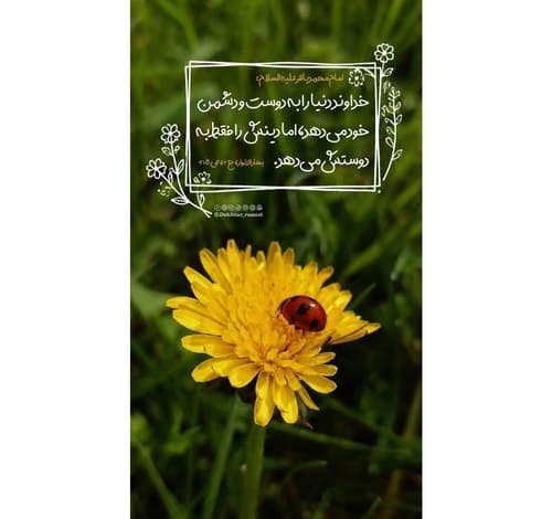 حدیث | امام محمد باقر (ع) 