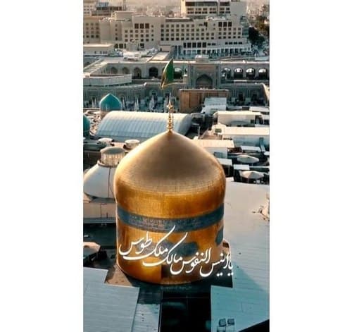 ریلز | یا انیس النفوس 
