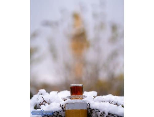 چایی یا یخ در بهشت