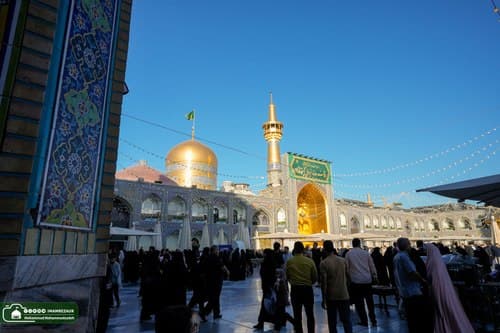 آپ نے امام رضا علیہ السلام کی زیارت کب کی تھی 