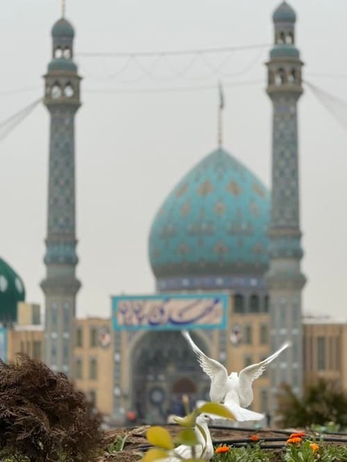 دعائے امام زمانہ عجل اللہ تعالی فرجہ الشریف 