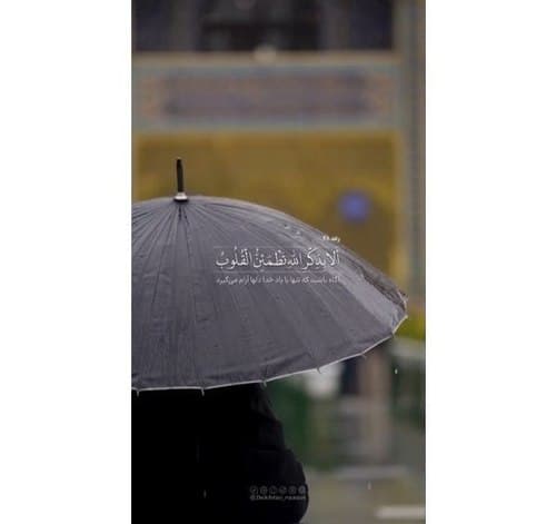 ریلز | آرامش دلها 