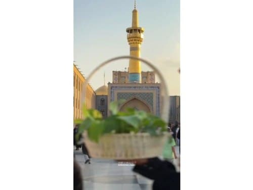 ریلز | باغ گل