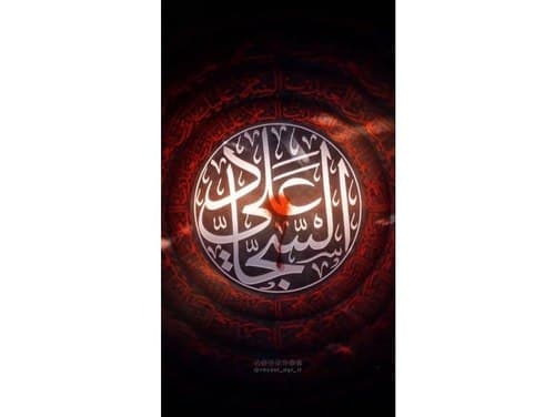 ریلز | ویژه‌ی شهادت امام سجاد (ع) 
