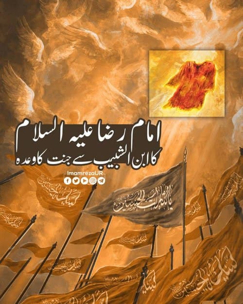 امام رضا علیہ السلام کا ابن شبیب سے جنت کا وعدہ 