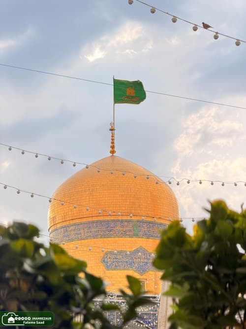 البم | حرم امام رضا علیہ السلام کی فضا