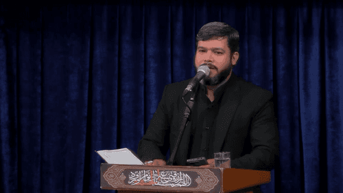 نخل زردم جوانه می خواهم