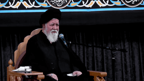 علت اینکه پیامبر (ص) حضرت زهرا (س) و امام رضا (ع) را بضعة منی فرمودند