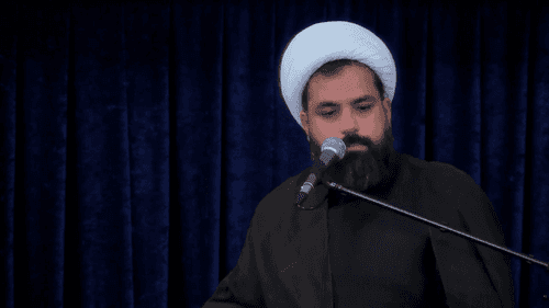 نقش امام رضا(ع) در گسترش دین و مذهب تشیع در ایران